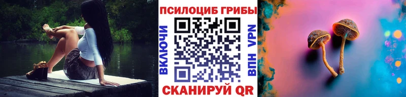 Псилоцибиновые грибы мицелий  Олонец 